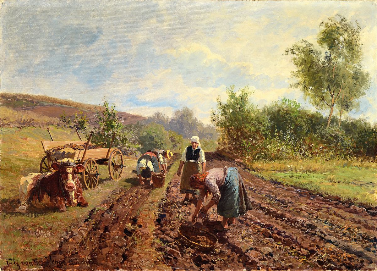 Fritz van der Venne, 1873-1936 München, Bäuerinnen bei der Kartoffelernte, Öl/Lwd, links unten signiert und bez. München, ca. 50x70cm, R. ca. ...