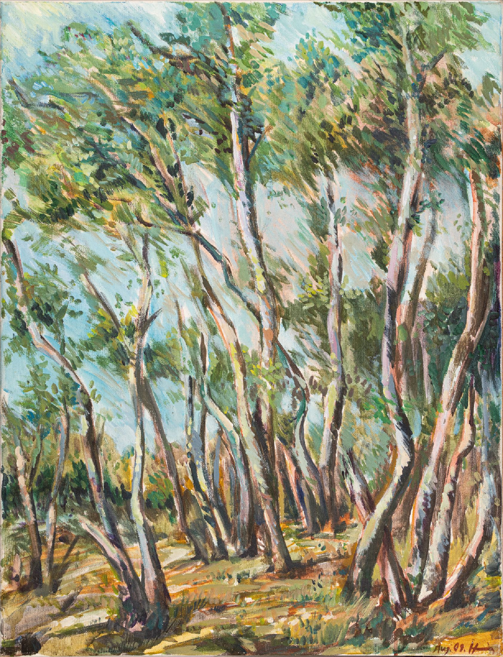 Unbekannter Künstler des 20.Jh., Birkenwald, Öl/Lwd, unleserlich signiert u. datiert Aug 09, 66x51 cm