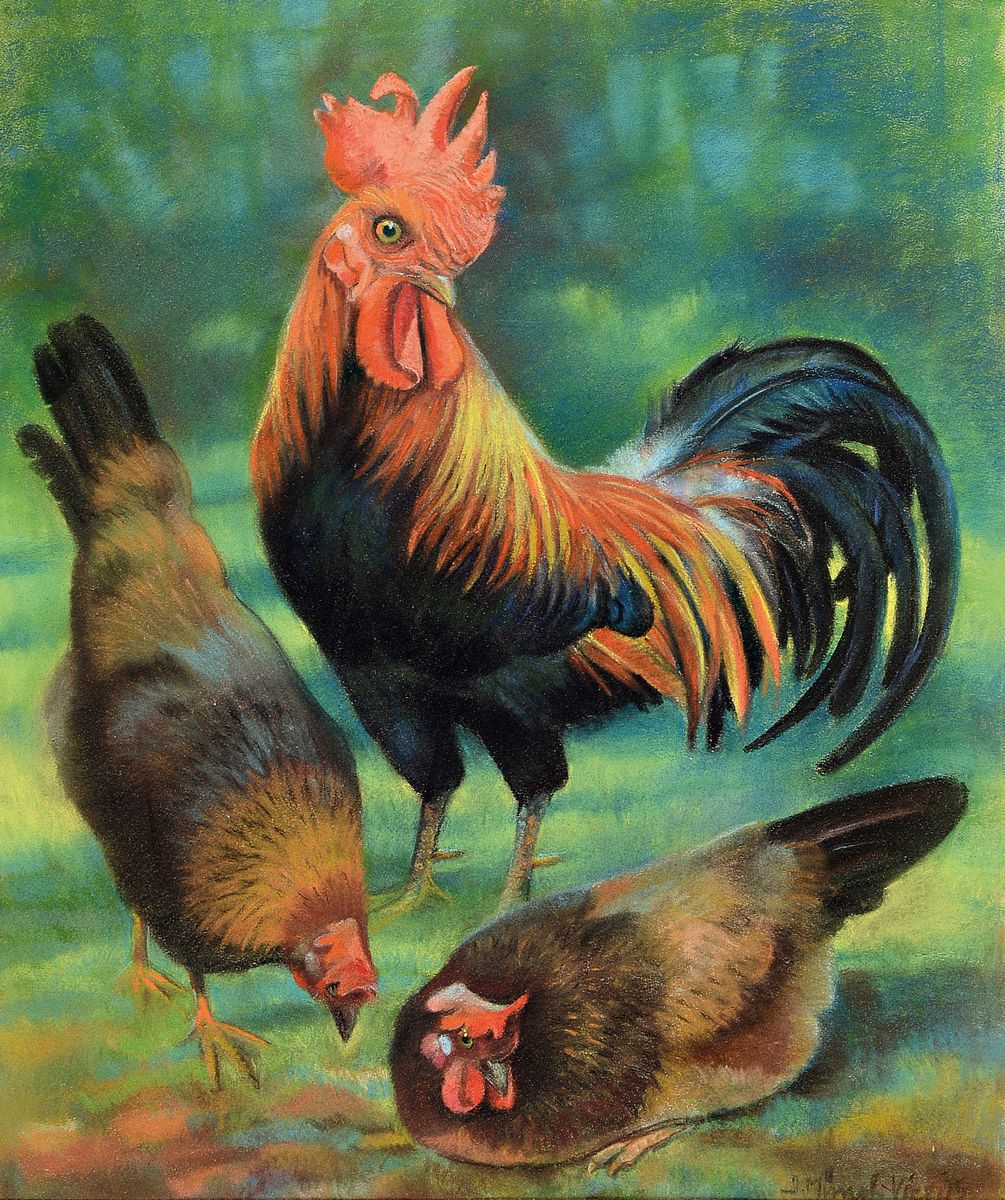 Irmgard Münch-Vieritz, 1907 Dasel-1985 Karlsruhe, entwickelte Tierfiguren für Meissen, Rosenthal und die Karlsruher Majolika, hier: Hahn mit zwei ...