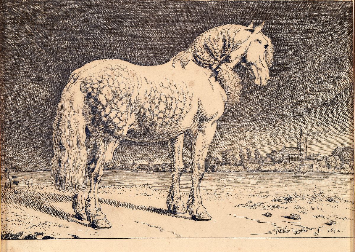 Paulus Potter, 1625-1654, Radierung, Pferdedarstellung, in der Platte signiert und dat. 1652, Altersspuren, unter Glas, Rahmen, 15 x 22 cm