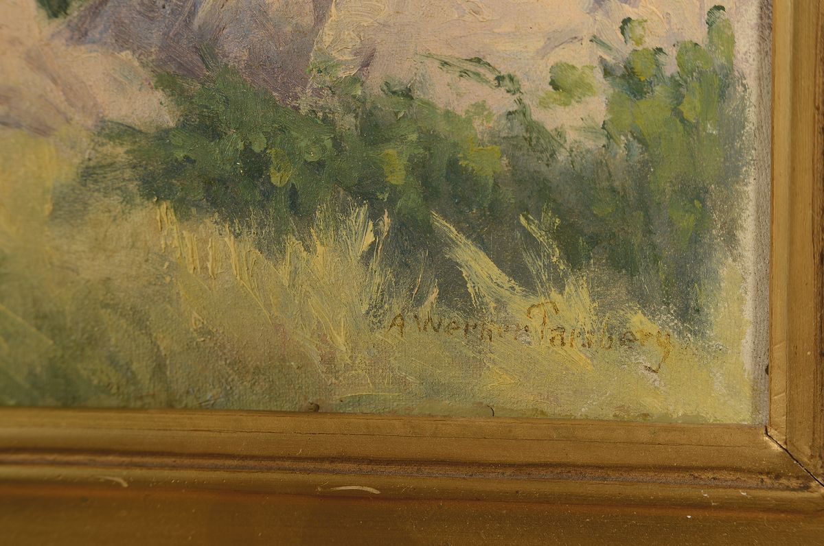 Detail b: A. Werner Parsberg, dänischer Maler des 19./20. Jh., 2 Gemälde in Öl/Lwd, beide rechts unten signiert, 1x Landschaft in Dalmatien, 1x ...