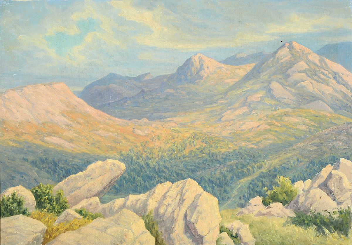 Detail c: A. Werner Parsberg, dänischer Maler des 19./20. Jh., 2 Gemälde in Öl/Lwd, beide rechts unten signiert, 1x Landschaft in Dalmatien, 1x ...