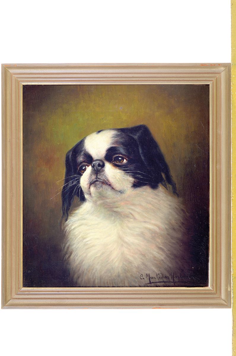 Detail k: Carlos Muntadas-Harburger, 1875 - 1956, Pekinese, Hundeporträt, Öl/Lwd, re. unten, signiert, 34 x 31 cm, Rahmen, l. Gebr.-spuren, ca. 40.5 x 37.5 cm