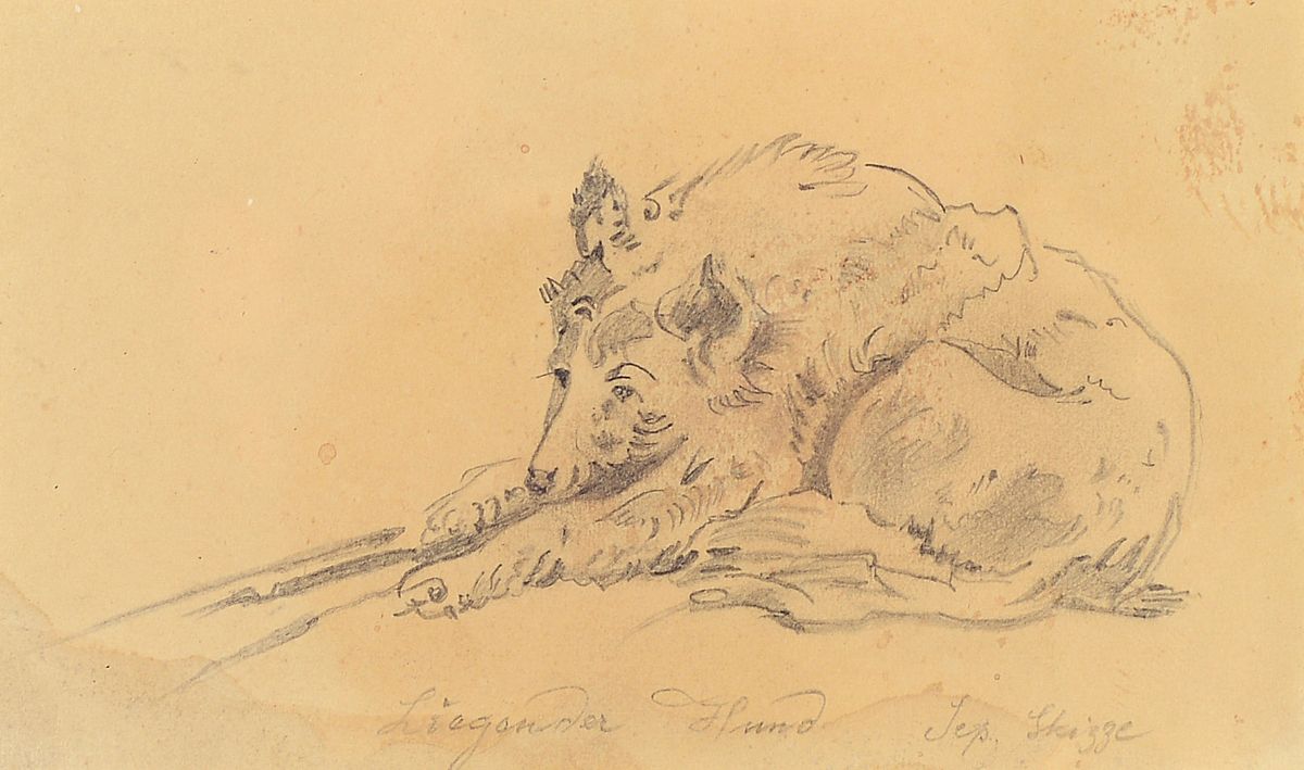 Friedrich Preller d. Ältere, 1804 Eisenach - 1878 Weimar, Bleistiftzeichnung bez. "liegender Hund Sep Skizze", wasserfleckig, aus einem ...