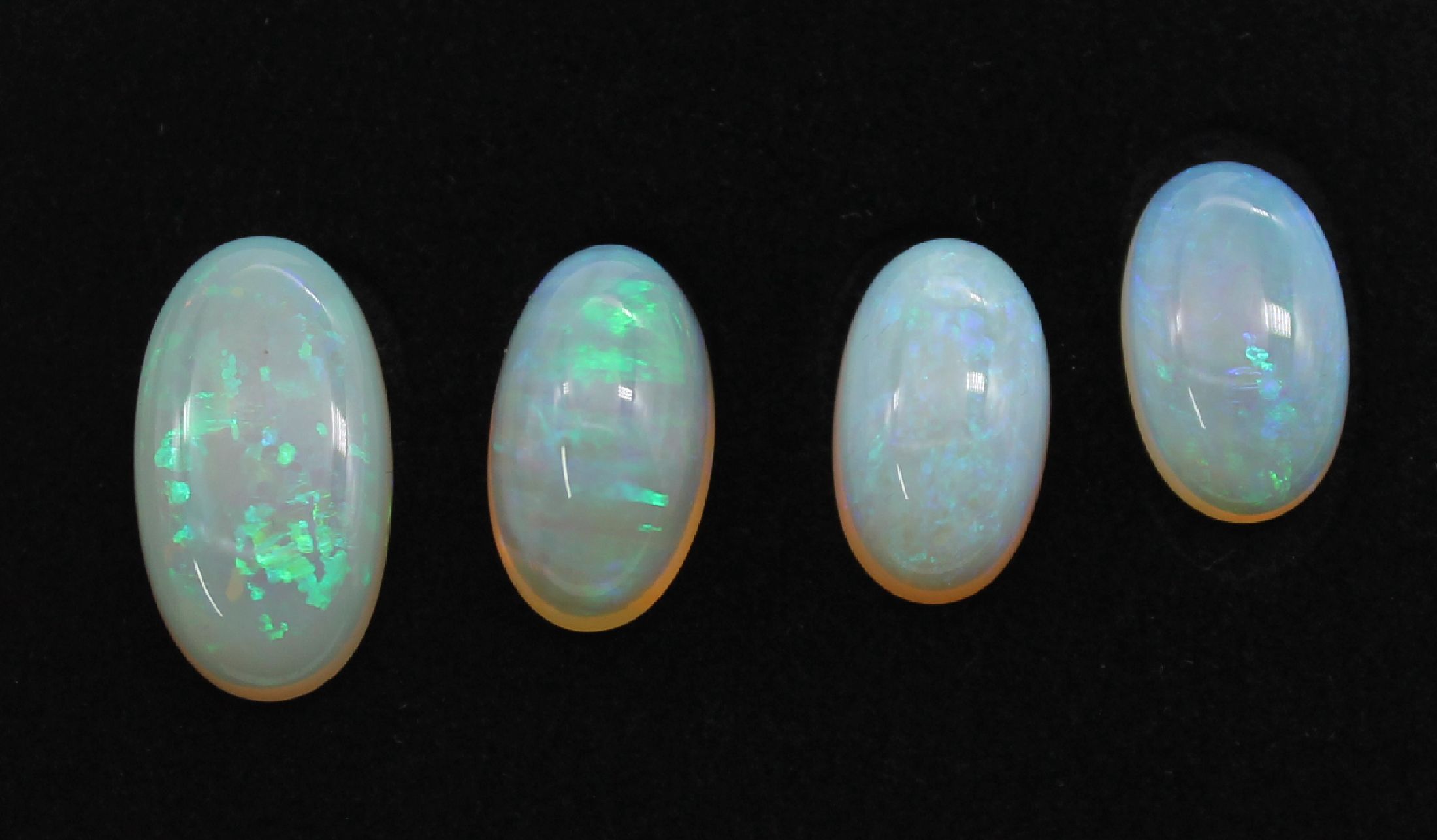 Lot 4 lose Opale, zus. ca. 30.9 ct, Cabochons in versch. Größen, schönes intensives Farbspiel in Grün und Blau