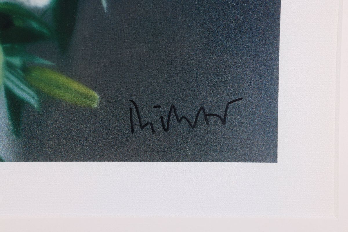 Detail a: Gerhard Richter, geb. 1932, "Blumen", Offset-Lithografie nach einem Original von 1995, handsign., hrsg. Nord LB 2008, unter Plexiglas ...