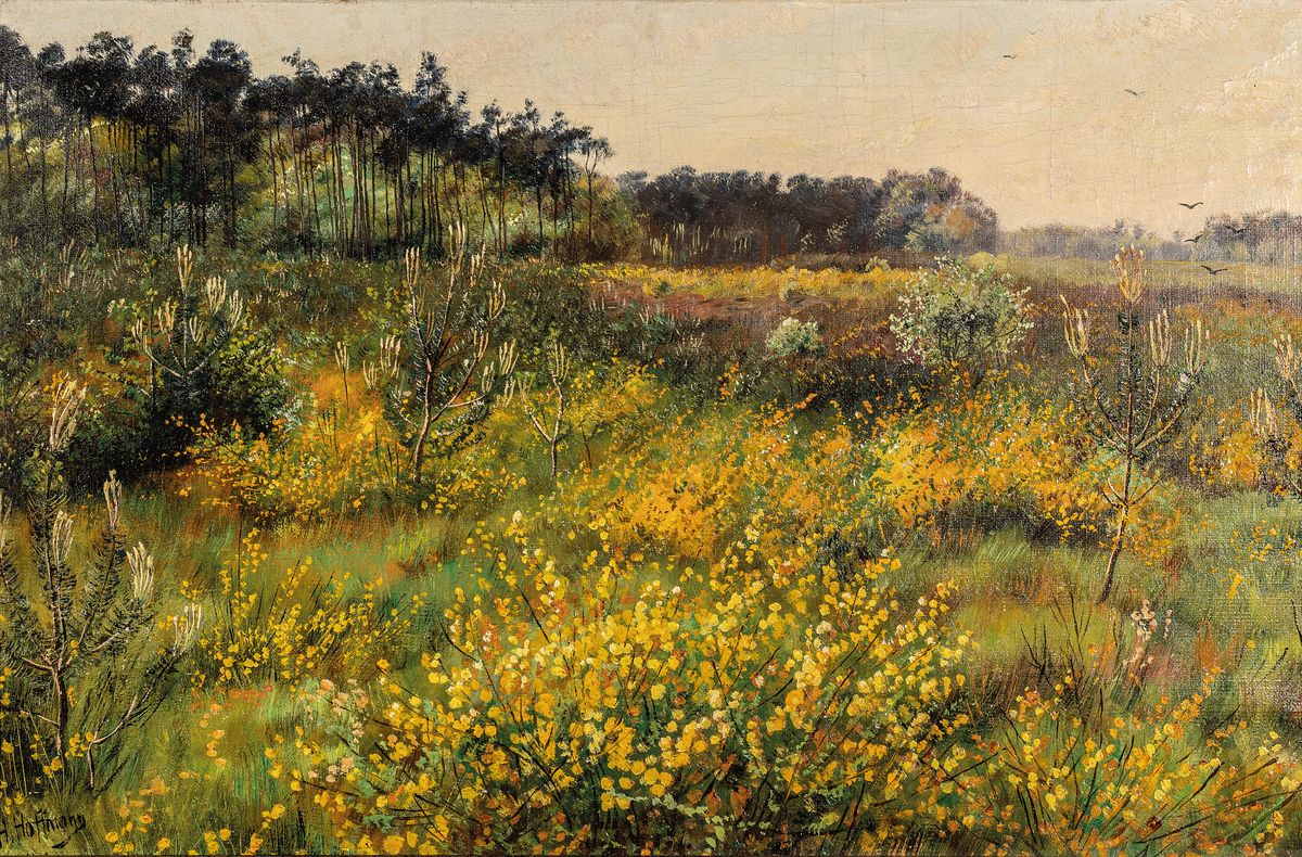 H. Hoffmann, wohl Hubert Hoffmann, 1904-1999 , Heidelandschaft mit Kiefern, Öl/Lwd, links unten signiert, ca. 41x60cm/48x68cm, Rahmen