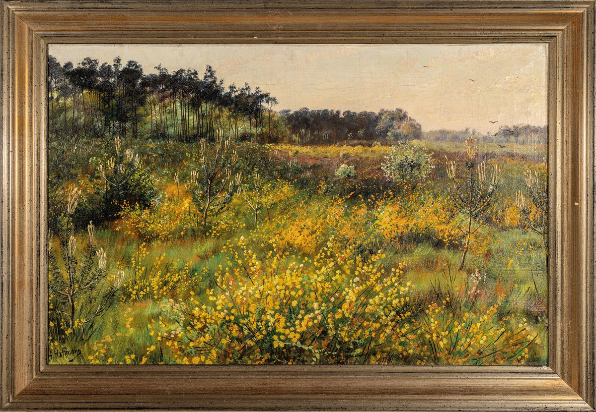 Detail k: H. Hoffmann, wohl Hubert Hoffmann, 1904-1999 , Heidelandschaft mit Kiefern, Öl/Lwd, links unten signiert, ca. 41x60cm/48x68cm, Rahmen