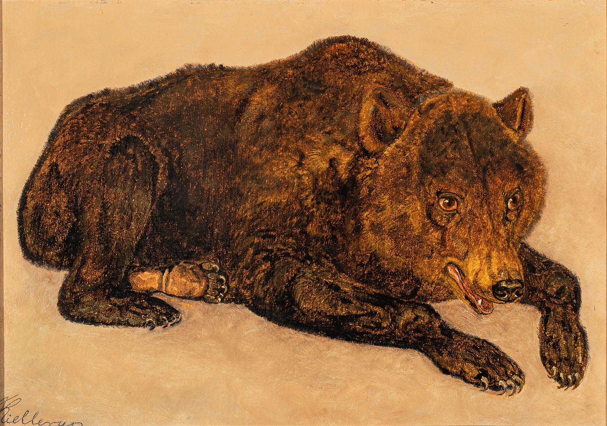 Theodor Julius Kellerup, 1818-1850, liegender Bär, Öl/Malkarton, links unten signiert, ca. 24.5x34.5cm, R. ca. 31x41cm