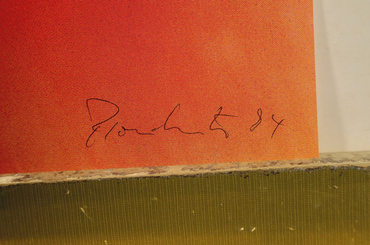 Detail a: Thomas Florschütz, geb. 1967 Zwickau, Offset, handsigniert, aus 1995, num. 22/35, 84 x 59.5 cm, Thomas Florschütz ist Fotograf und Künstler