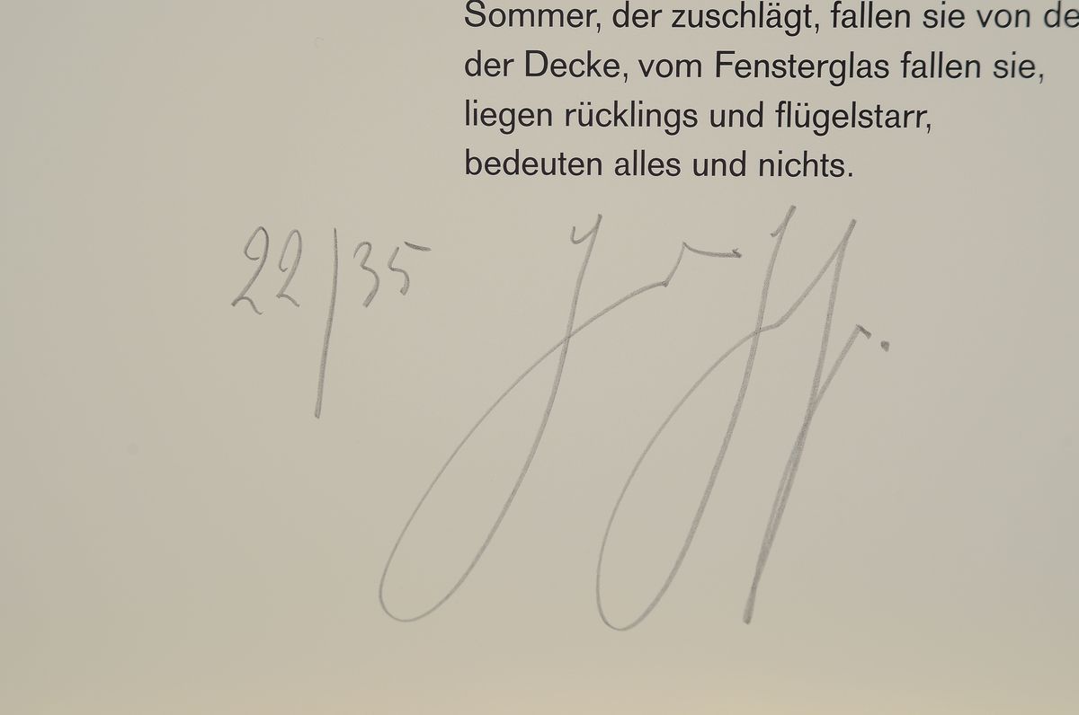 Detail a: Günther Grass, 1927 Danzig - 2015 Lübeck, Offset, handsigniert, aus 1995, num. 22/35, 84 x 59.5 cm, Günther Grass war nicht nur ein erfolgreicher ...