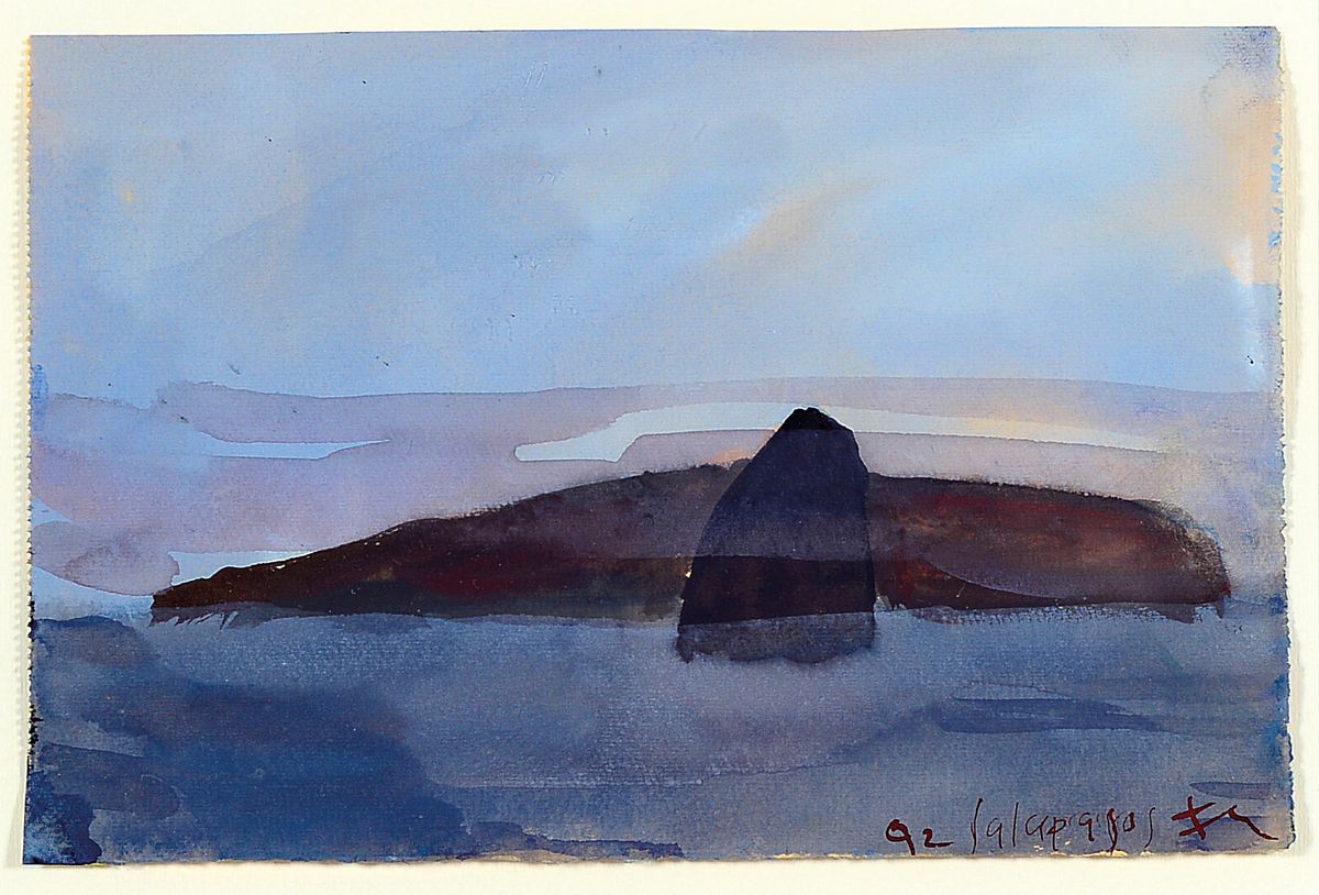 Klaus Fußmann, geb. 1938 Velbert, Aquarell auf Papier, "Galapagos", handsigniert und datiert 1992, Blattgr. 15 x 21.5 cm, Rahmen ca. 42.5 ...