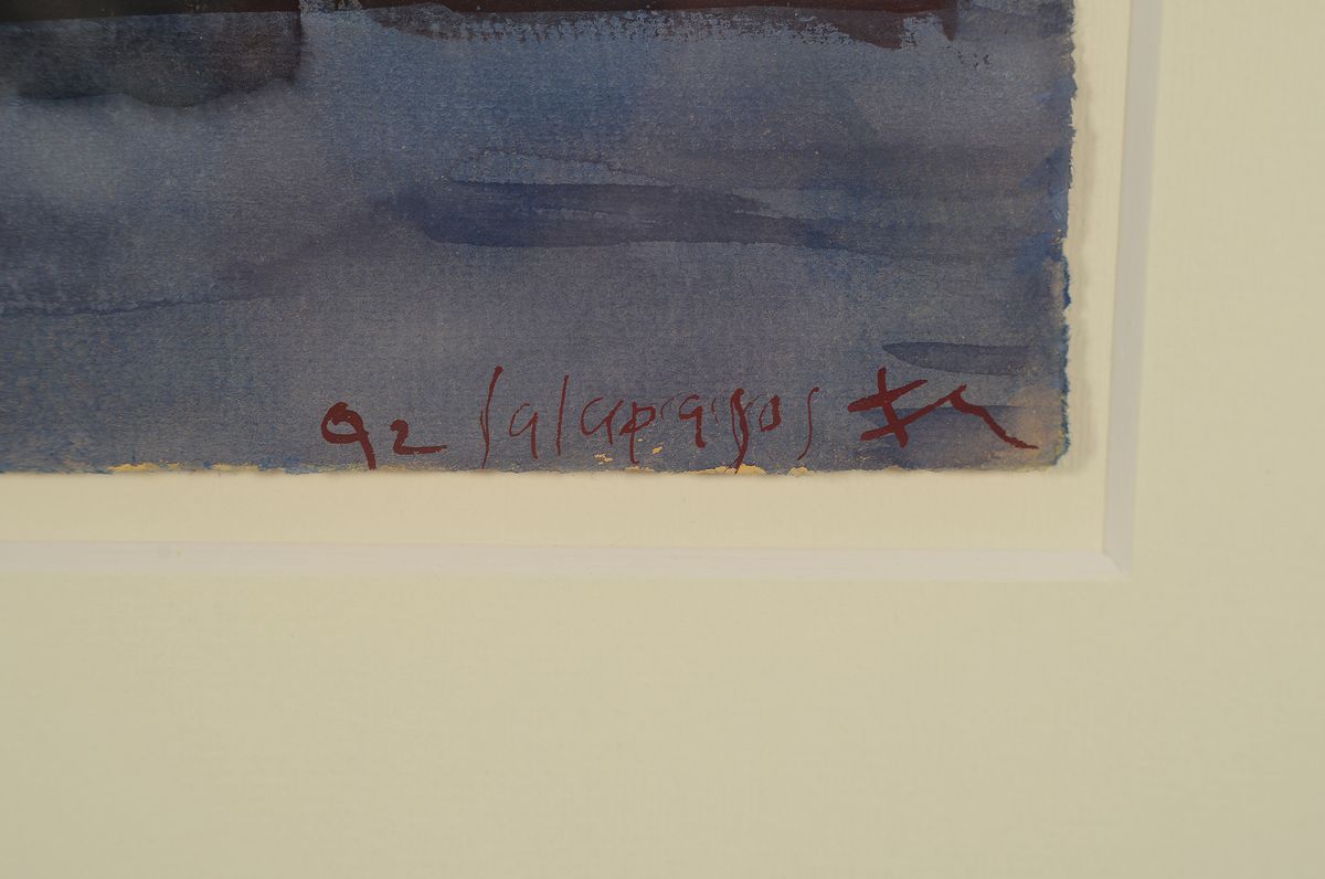Detail a: Klaus Fußmann, geb. 1938 Velbert, Aquarell auf Papier, "Galapagos", handsigniert und datiert 1992, Blattgr. 15 x 21.5 cm, Rahmen ca. 42.5 ...