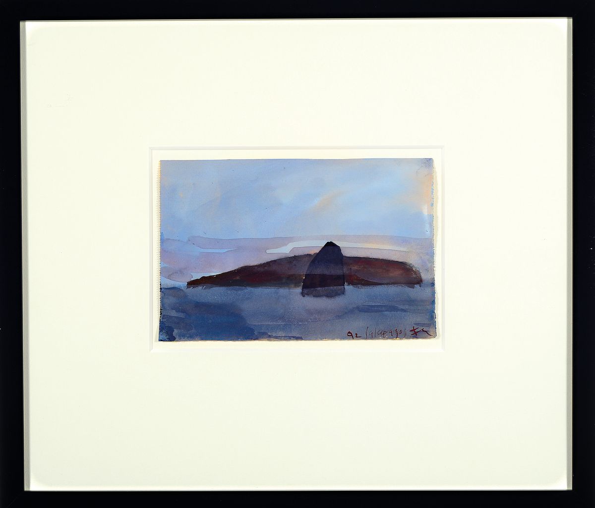 Detail k: Klaus Fußmann, geb. 1938 Velbert, Aquarell auf Papier, "Galapagos", handsigniert und datiert 1992, Blattgr. 15 x 21.5 cm, Rahmen ca. 42.5 ...