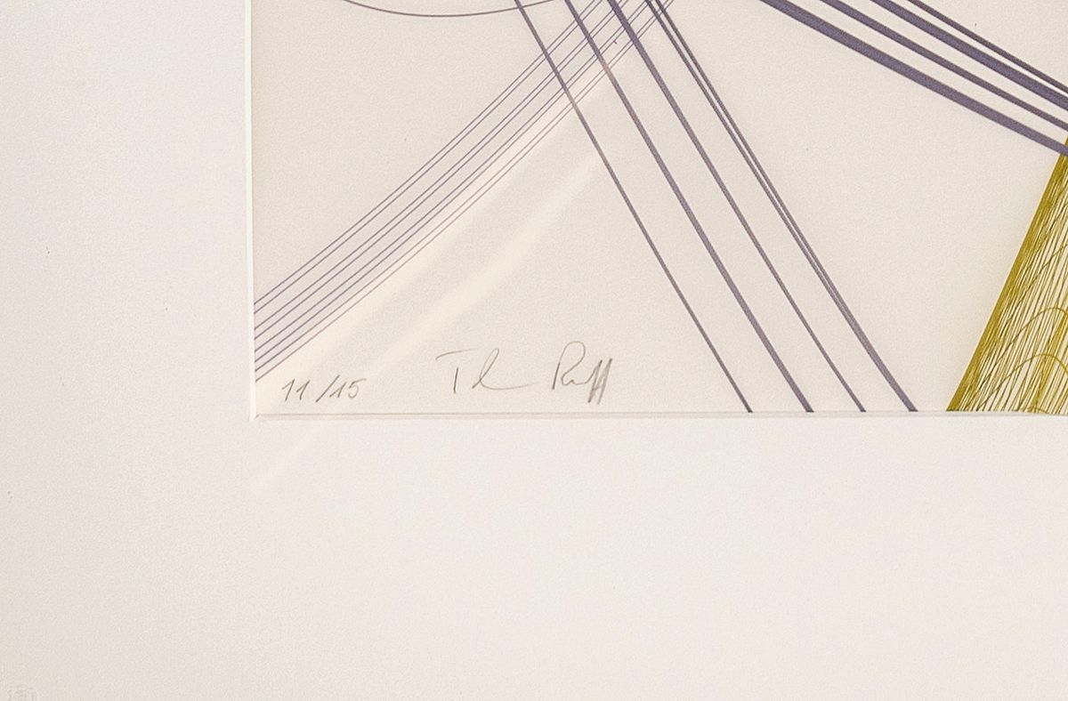 Detail a: Thomas Ruff, geb. 1958, Ditone Printauf transparenter Polyester-Folie,handsigniert und num.11/15, aus 2014, Blattgr.100 x 80 cm, unter Glas Rahmen ...