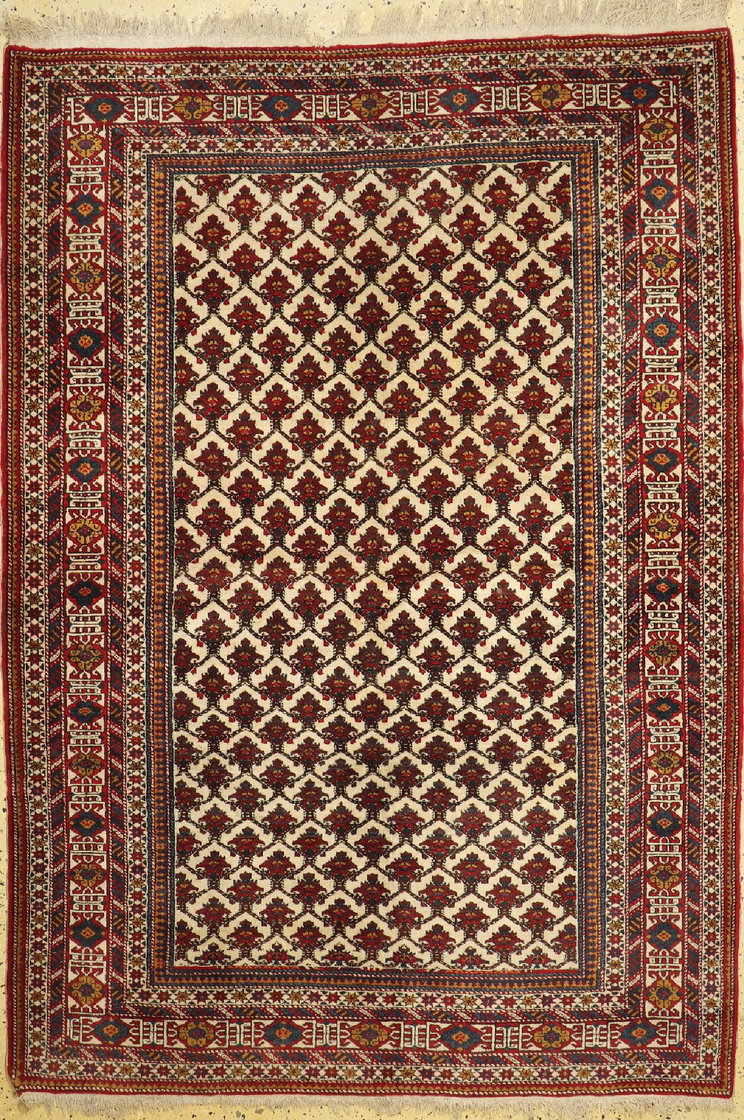 Schirwan alt, Rußland, ca. 50 Jahre, Wolle auf Wolle, ca. 220 x 153 cm, EHZ: 2