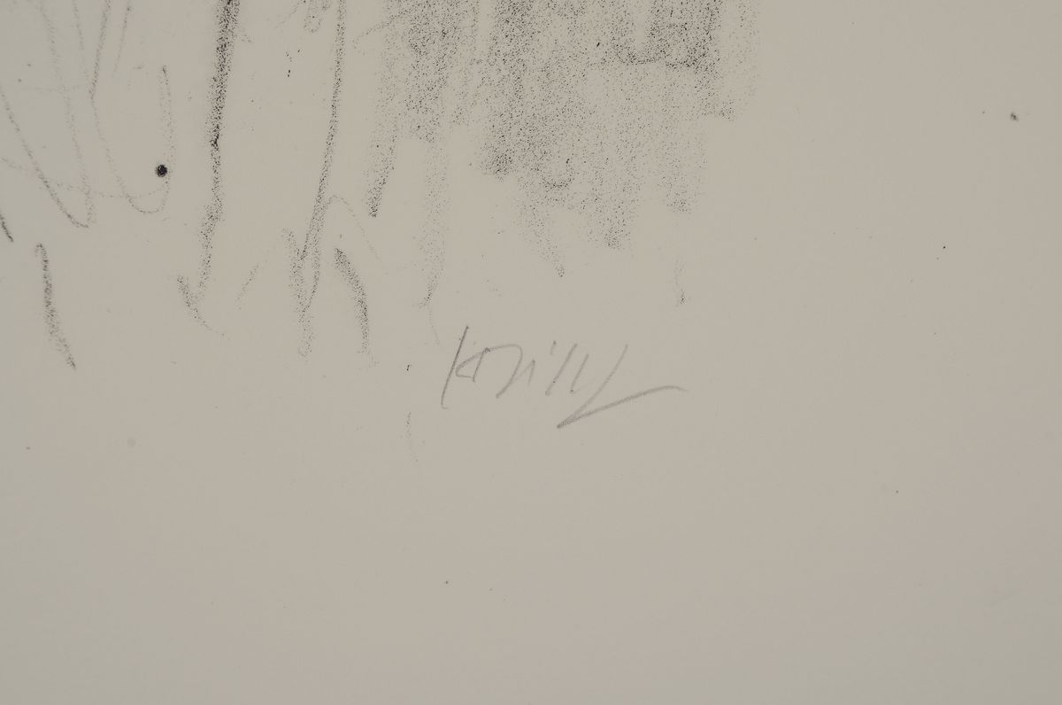 Detail a: Bernhard Heisig, 1925 - 2011, Lithografie auf dickem Zerkall Büttenpapier m.Wasserzeichen, handsigniert und num. 28/33, Litho stammt aus dem Jahre ...