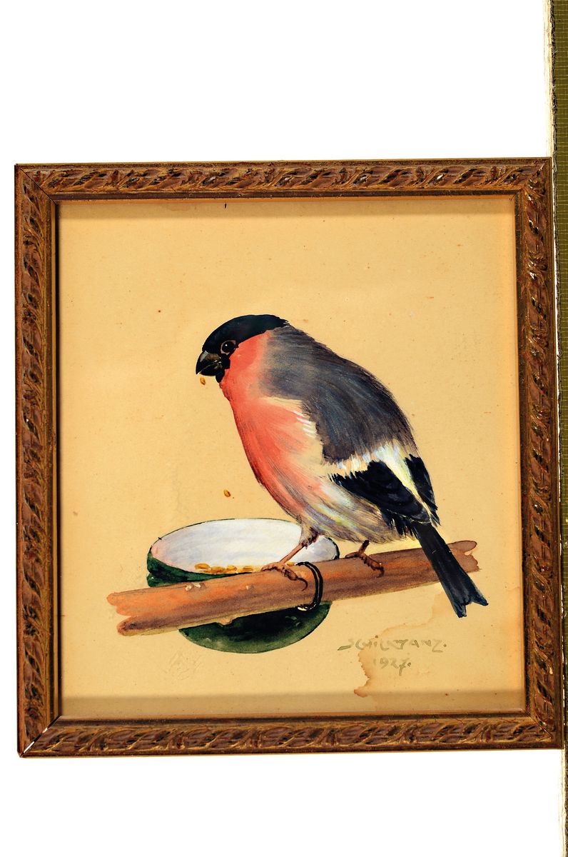 Detail k: Karl Schicktanz, 1858 Dresden-1920er-Jahre, Paar Aquarelle, Vogelmotive, Gimpel am Futternapf und vier Sperlinge und eine Hummel, je signiert, 1x ...