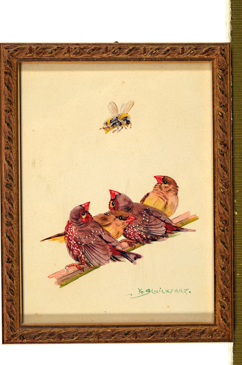 Detail l: Karl Schicktanz, 1858 Dresden-1920er-Jahre, Paar Aquarelle, Vogelmotive, Gimpel am Futternapf und vier Sperlinge und eine Hummel, je signiert, 1x ...