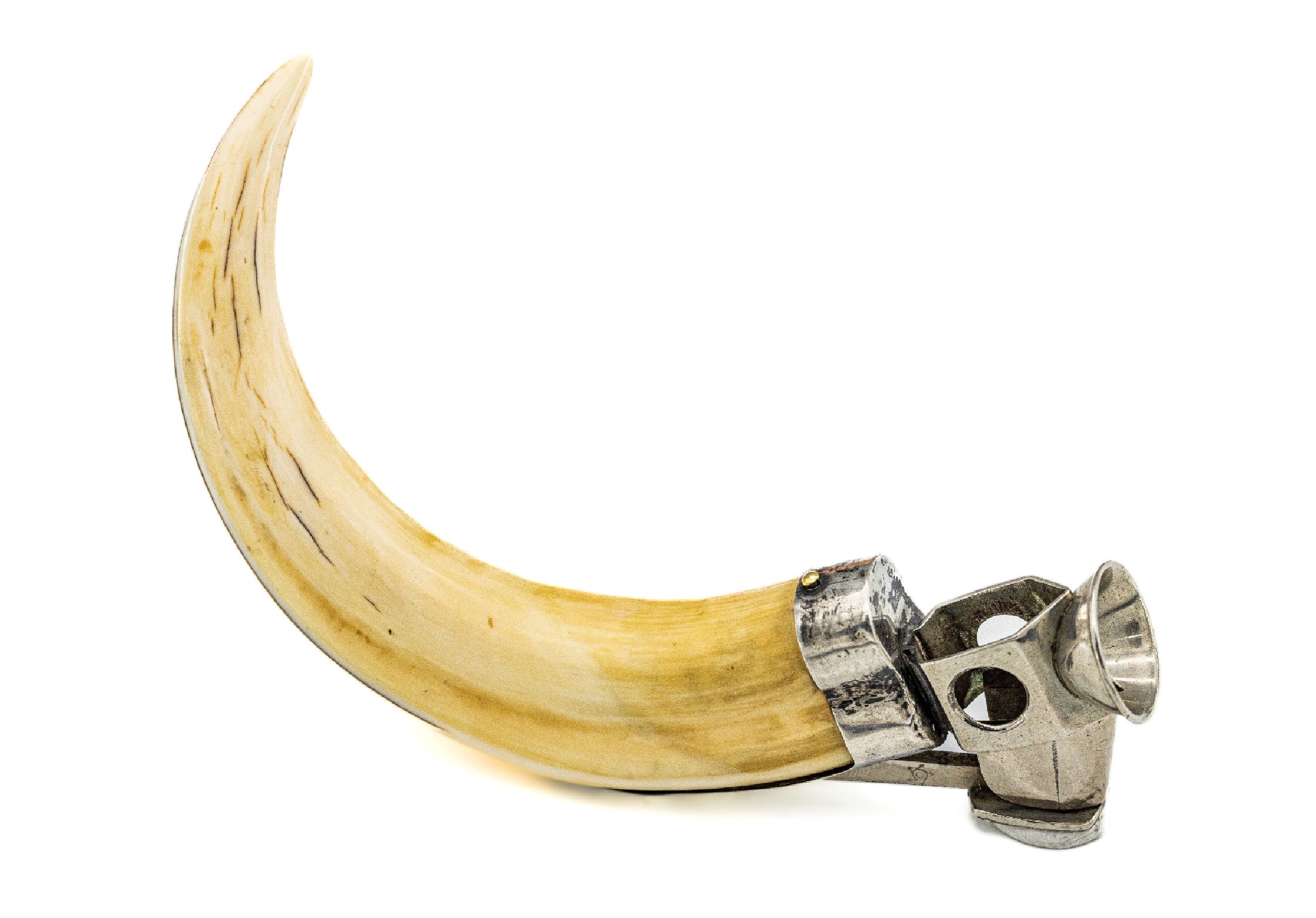 Zigarrenabschneider, deutsch, 925er Silbermontur, wohl Hauer vom Warzenschwein, L.ca. 12 cm