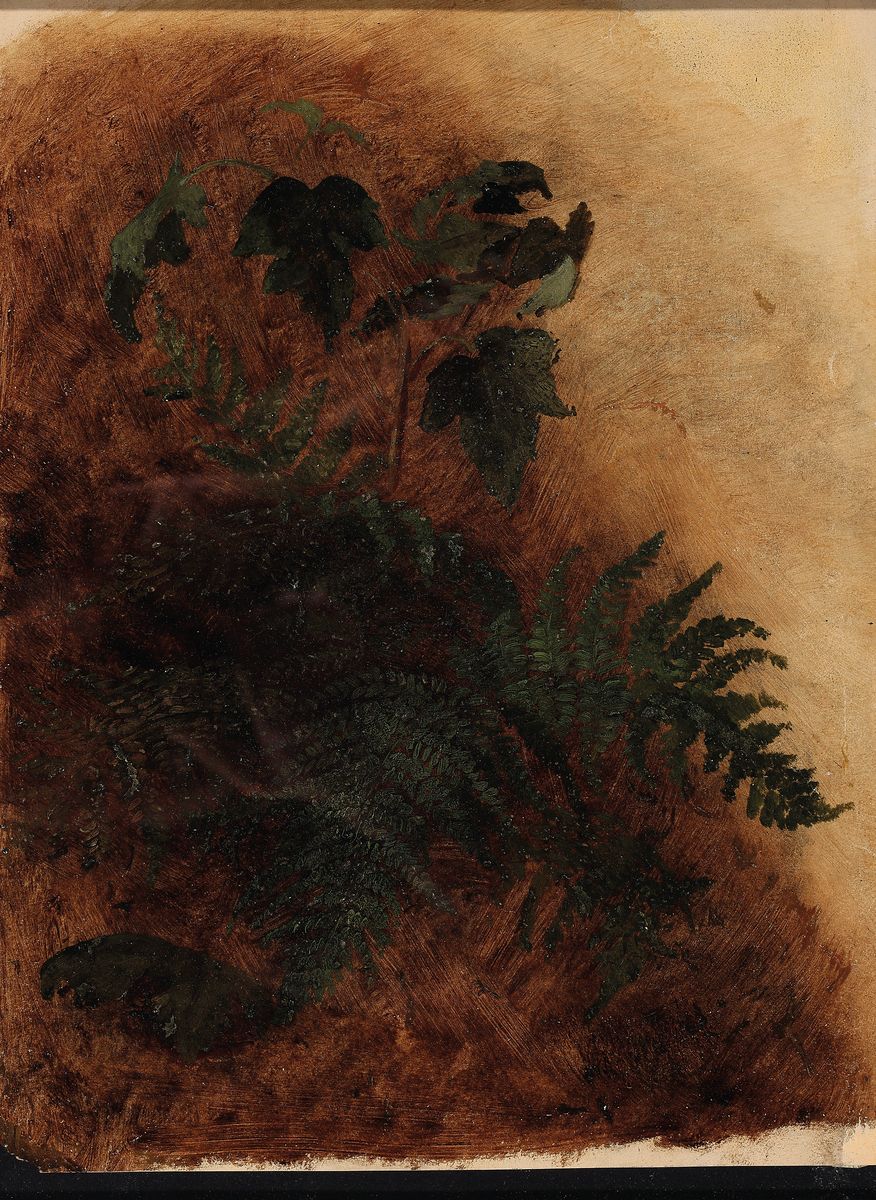 Zuschreibung: Christian Friedrich Gille, 1805 Ballenstedt/Harz-1899 Dresden, Naturstudie mit Farn, Öl/Papier, ca. 36x28cm, links untere Ecke fehlt, ...