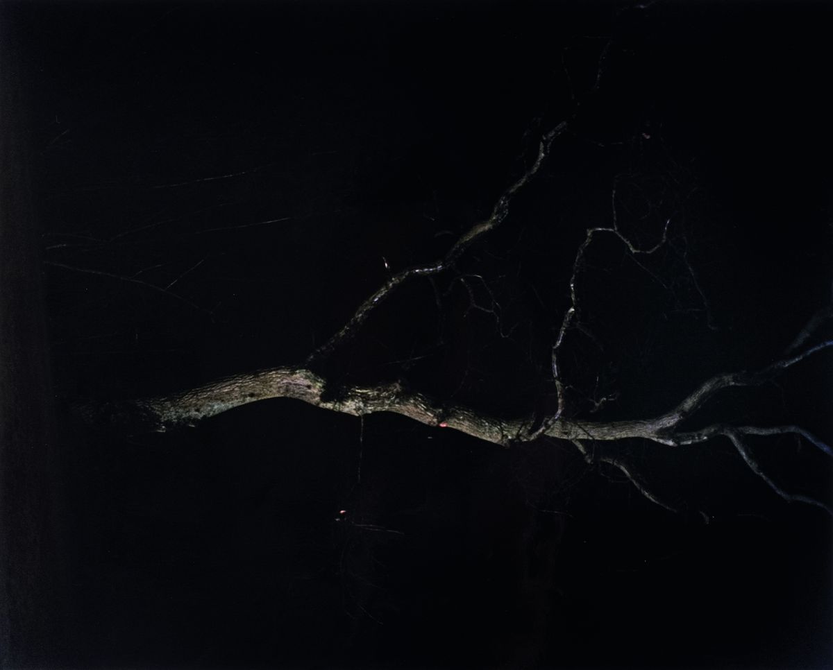 Detail a: Linn Schröder, geb. 1977, Mappe mit 6 Fotografien auf Agfa-Barytpapier, Titel:"Tot he moon", je verso handsign., dat. 2008, Abzüge aus ...