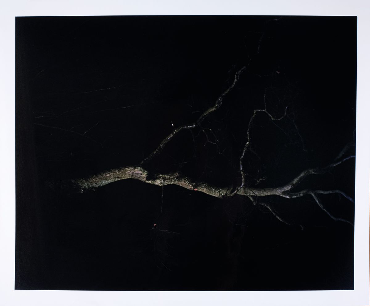 Detail l: Linn Schröder, geb. 1977, Mappe mit 6 Fotografien auf Agfa-Barytpapier, Titel:"Tot he moon", je verso handsign., dat. 2008, Abzüge aus ...
