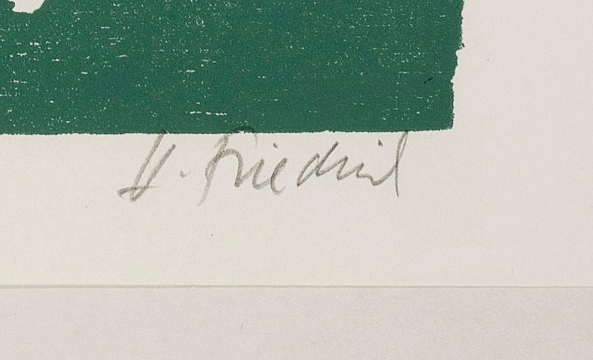Detail b: Heinz Friedrich, 1924-2018 Schwetzingen, 2 Farbholzschnitte: Truthahn, handsign., ca. 56x42cm, u.Gl., R. ca. 70x50cm; Bauernstrauß, handsigniert und ...