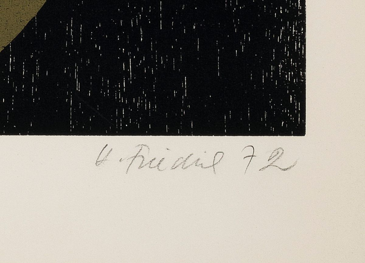 Detail c: Heinz Friedrich, 1924-2018 Schwetzingen, 2 Farbholzschnitte: Truthahn, handsign., ca. 56x42cm, u.Gl., R. ca. 70x50cm; Bauernstrauß, handsigniert und ...