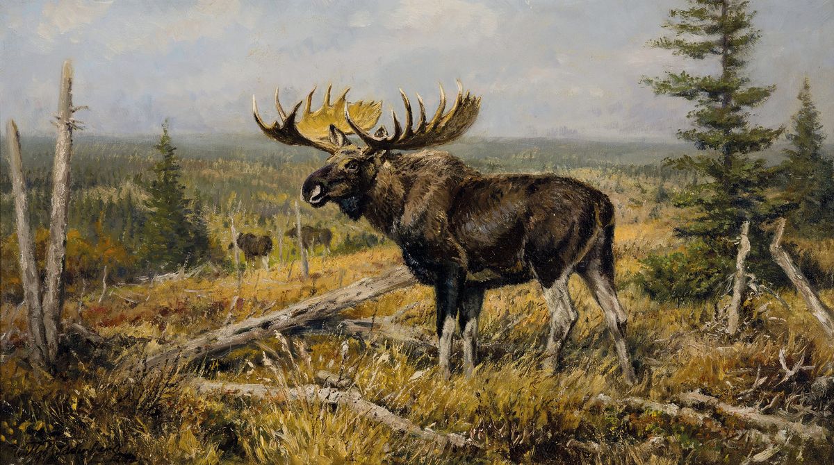Wilhelm Buddenberg, 1890 Trier-1967 Neuss, Studium an der Akademie Berlin, bekannter Tier- und Jagdmaler, hier: Elch auf einer Lichtung, Öl/Lwd, ...