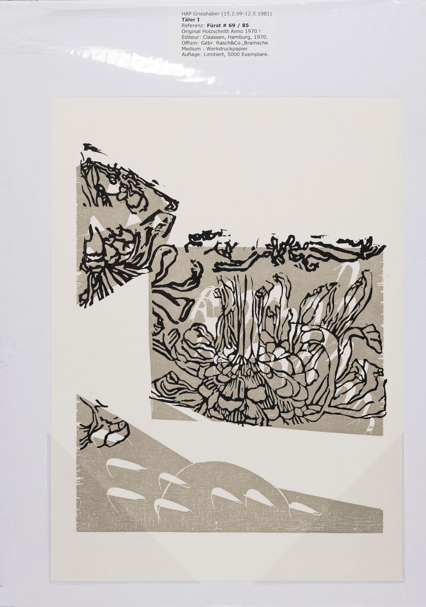 Detail k: HAP Grieshaber, 1909 - 1981, 14 Holzschnitte unsigniert, Editeur Claasen Hamburg, Auflage 5000, u.a.: Täler I/II, Felder I/II/III/IV, Kirchenruine, ...