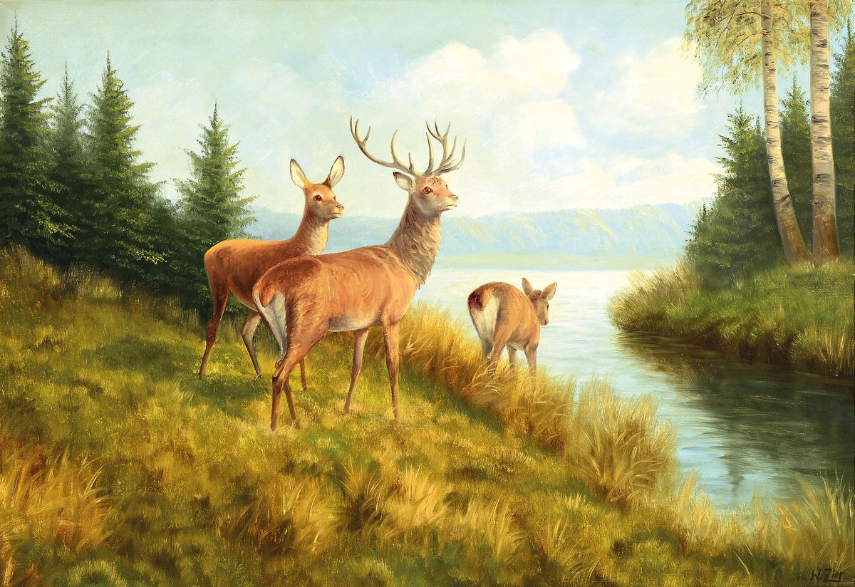 Wolmer Zier, 1910-1990, dänischer Künstler, Rotwild auf Waldlichtung, Öl/Lwd, rechts unten signiert, ca. 68x96cm/80x112cm, Rahmen