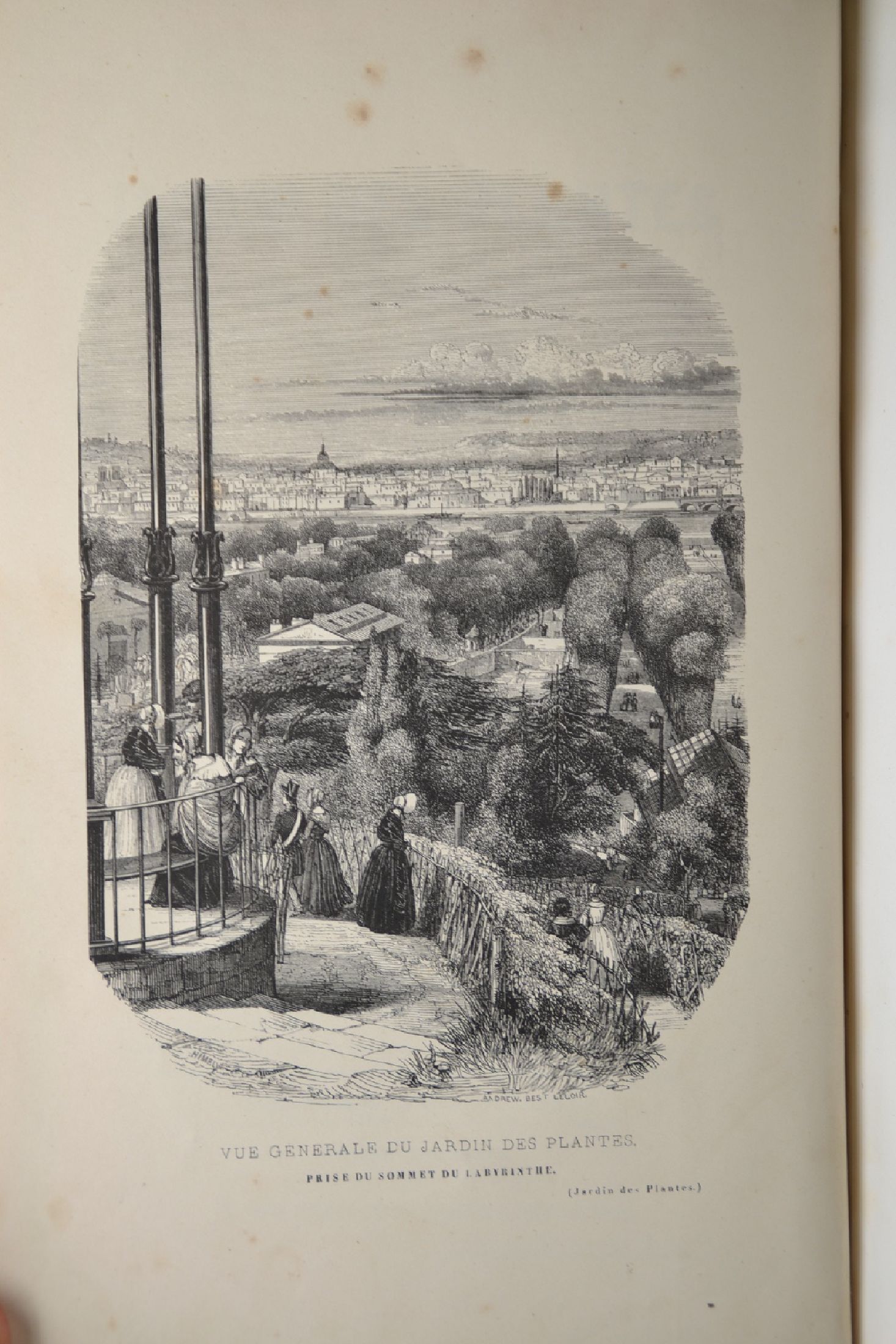 Detail b: Pierre Boitard (1789-1859): Le Jardin des Plantes. Description et Moeurs des Mammiferes de la menagerie et du Museum d'Histoire Naturelle, ...