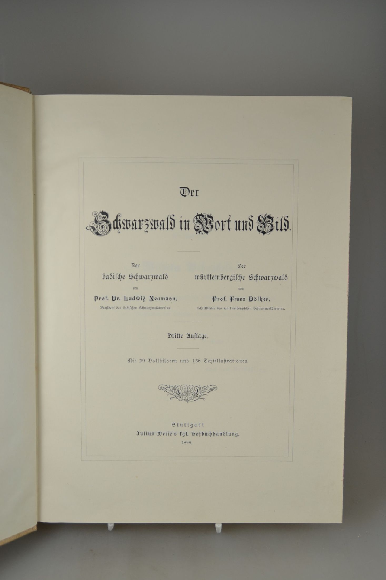 Detail a: Prof. Ludwig Neumann und Prof. Franz Dölker: Der Schwarzwald in Wort und Bild, Stuttgart, Weises Buchhandlung 1899, mit 29 Vollbildern und 136 ...