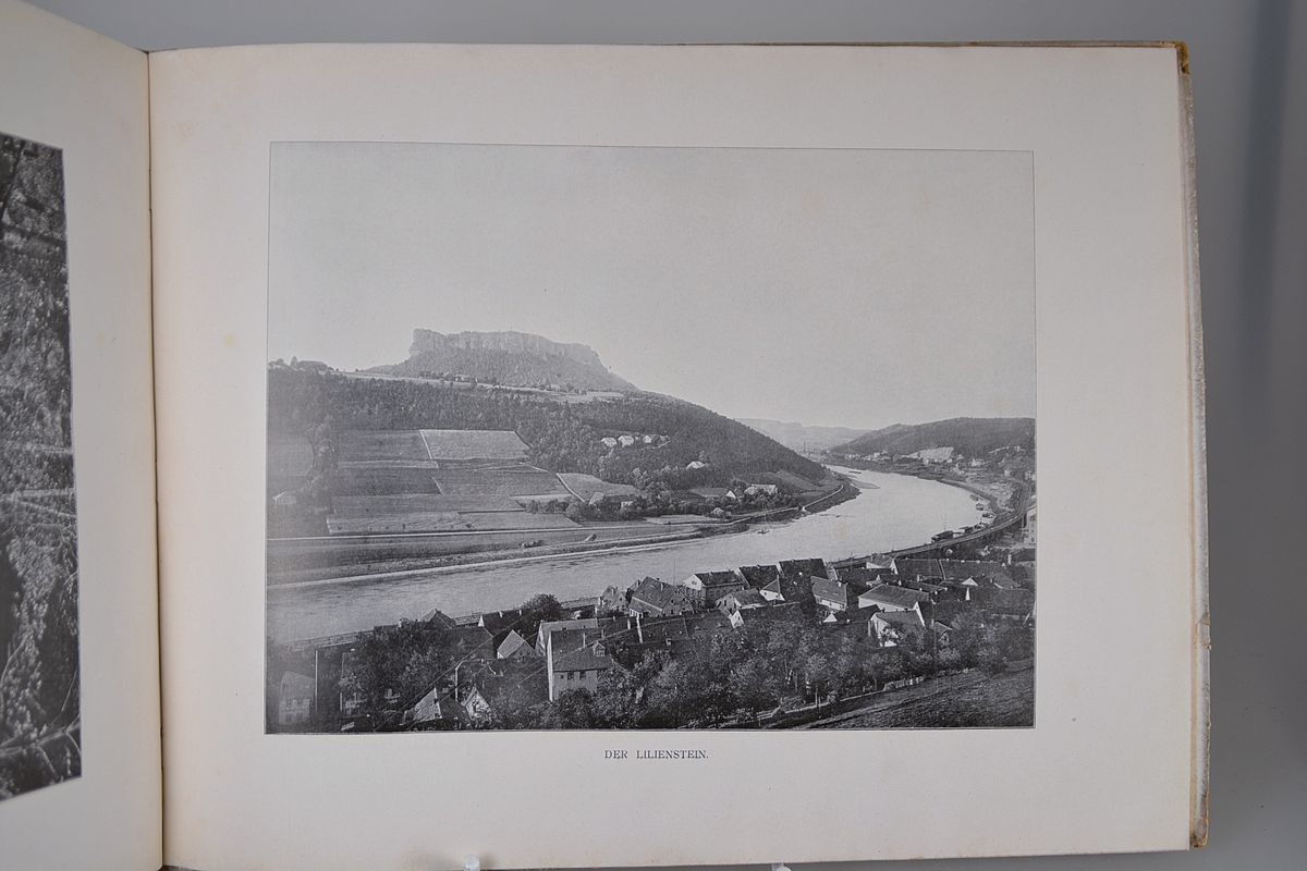 Detail c: Album von Dresden und Sächsische Schweiz, Berlin, Globus o.J. (um 1899), reich illustrierter Deckeltitel von Jessie Marion King (1875-1949), 47 ...