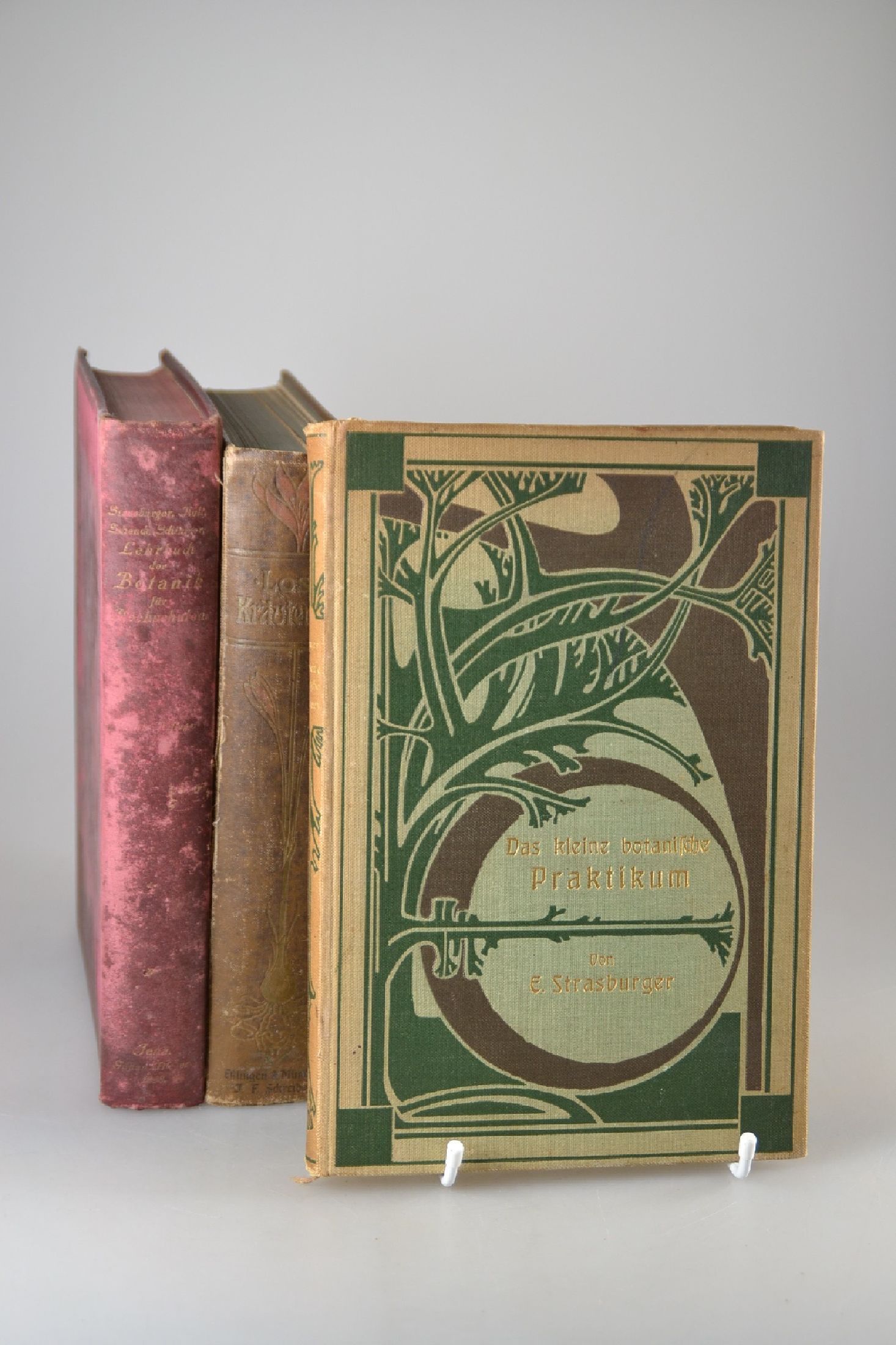 Konvolut aus 3 Büchern zur Botanik, Gestaltung des Jugendstils, 1898-um 1905, Strassburger/Noll/Schenck/Schimper: Lehrbuch der Botanik für ...