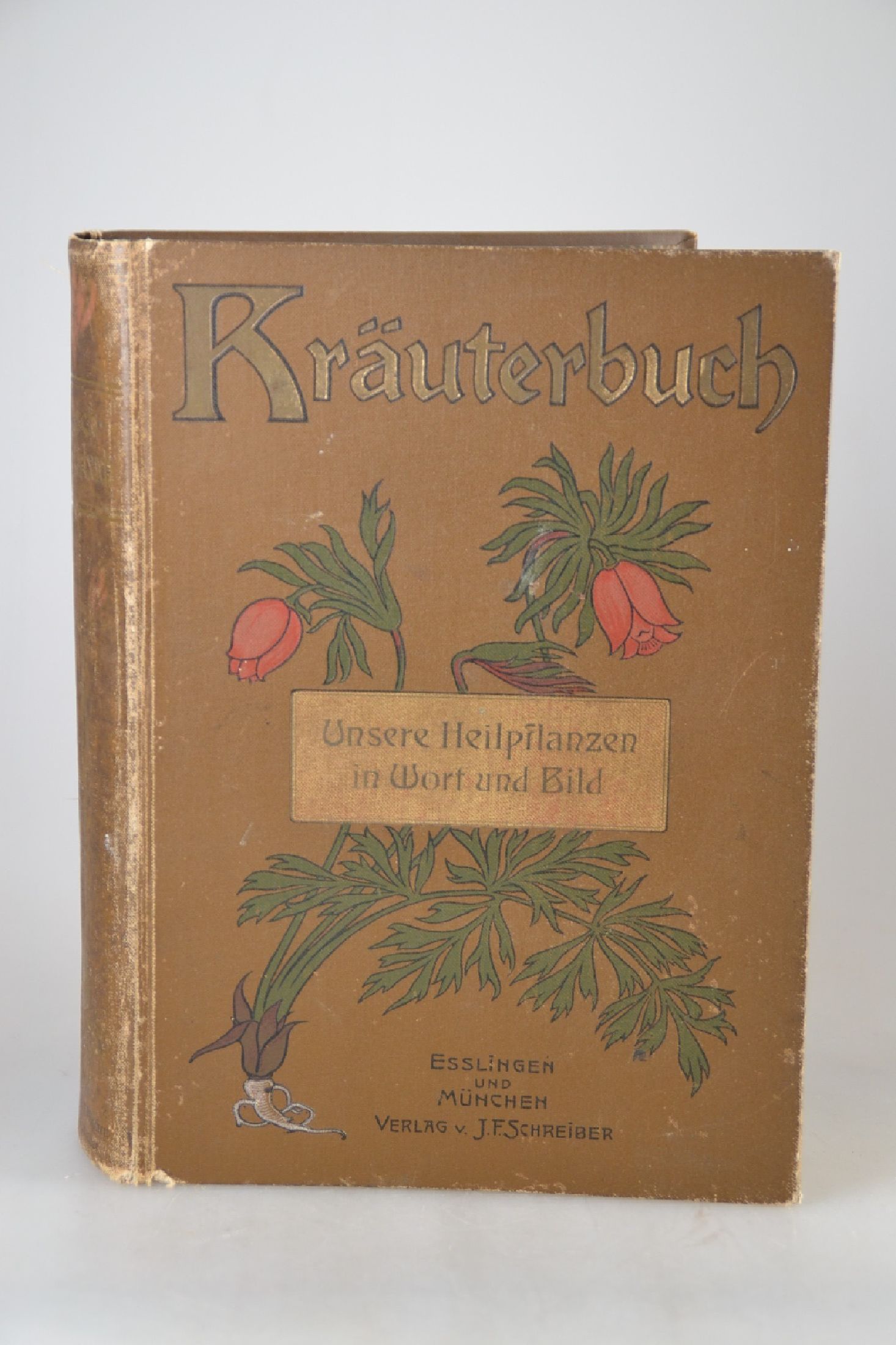 Detail a: Konvolut aus 3 Büchern zur Botanik, Gestaltung des Jugendstils, 1898-um 1905, Strassburger/Noll/Schenck/Schimper: Lehrbuch der Botanik für ...