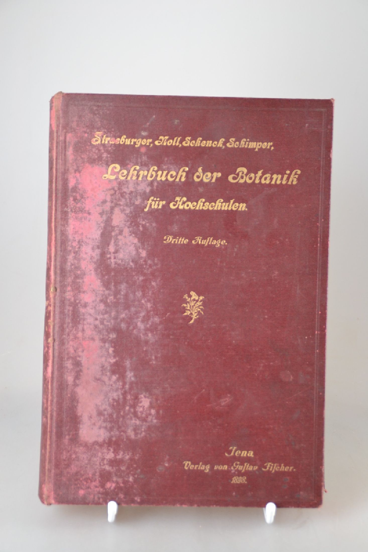 Detail b: Konvolut aus 3 Büchern zur Botanik, Gestaltung des Jugendstils, 1898-um 1905, Strassburger/Noll/Schenck/Schimper: Lehrbuch der Botanik für ...