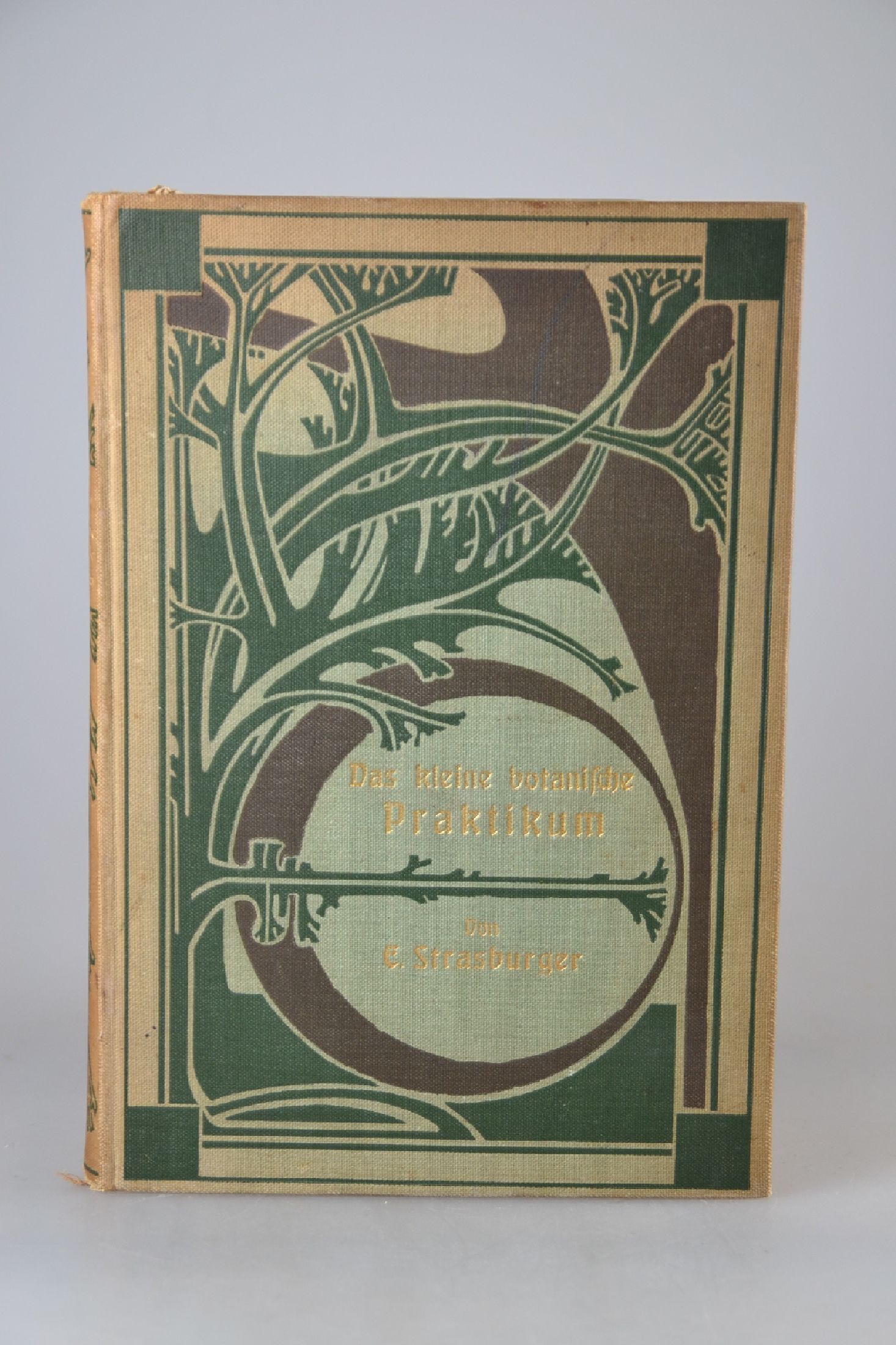 Detail c: Konvolut aus 3 Büchern zur Botanik, Gestaltung des Jugendstils, 1898-um 1905, Strassburger/Noll/Schenck/Schimper: Lehrbuch der Botanik für ...