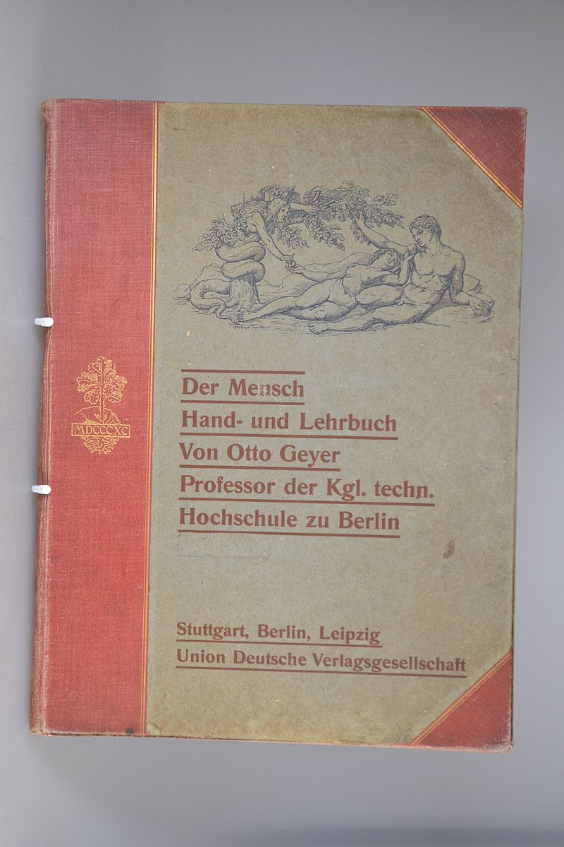 Prof. Otto Geyer (1843-1914): Der Mensch. Hand- und Lehrbuch von Otto Geyer Professor der Kgl. techn. Hochschule zu Berlin, Stuttgart Berlin u. ...