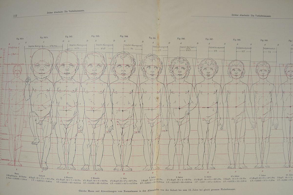 Detail b: Prof. Otto Geyer (1843-1914): Der Mensch. Hand- und Lehrbuch von Otto Geyer Professor der Kgl. techn. Hochschule zu Berlin, Stuttgart Berlin u. ...