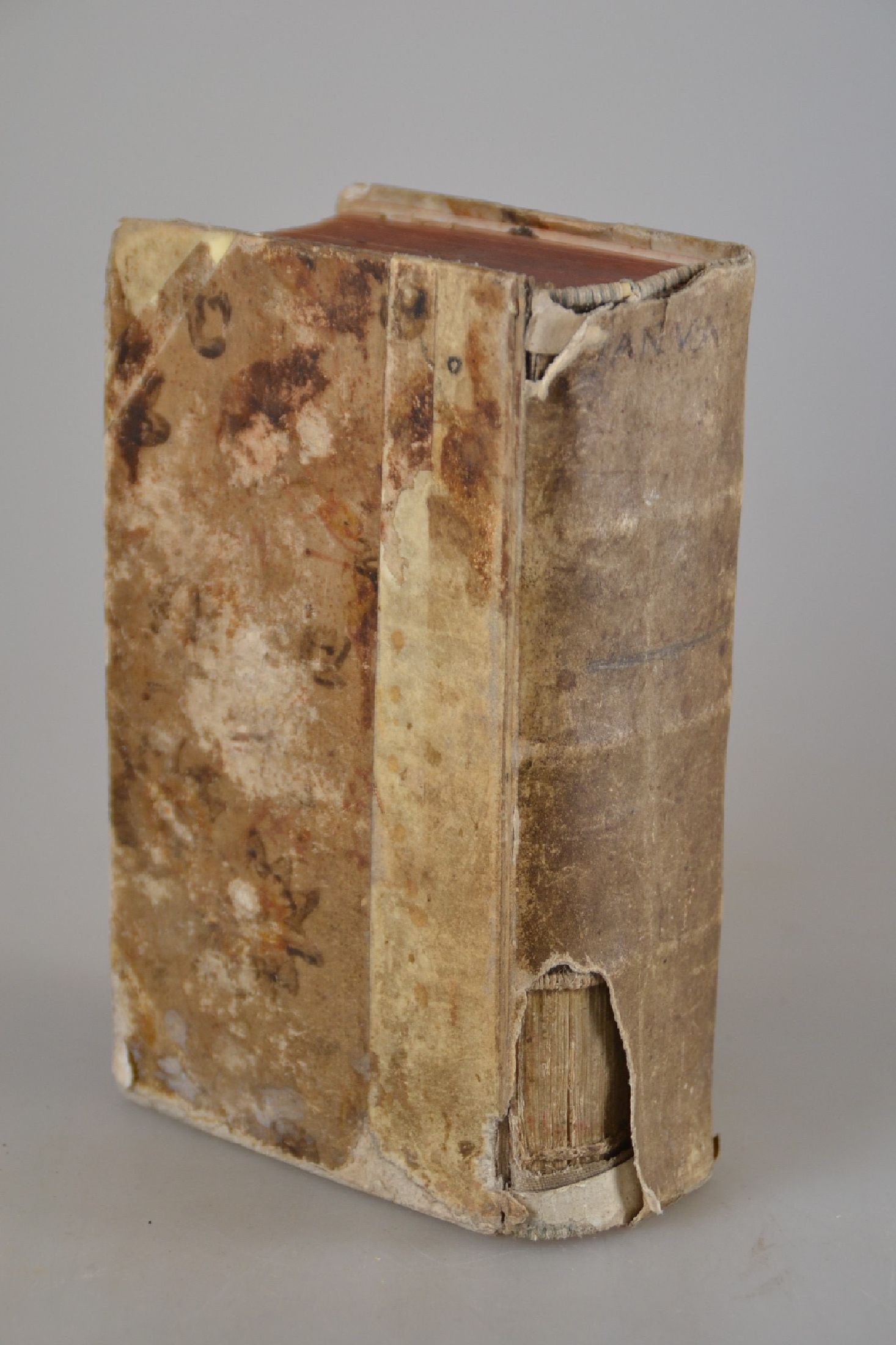 Detail c: Christian Reineccius (1668-1752): Janua Hebra linguae Veteris Testamenti...Accessit Una cum Grammatica Lexicon Hebraeo-Chaldaica, Leipzig, 1756, 1112 ...