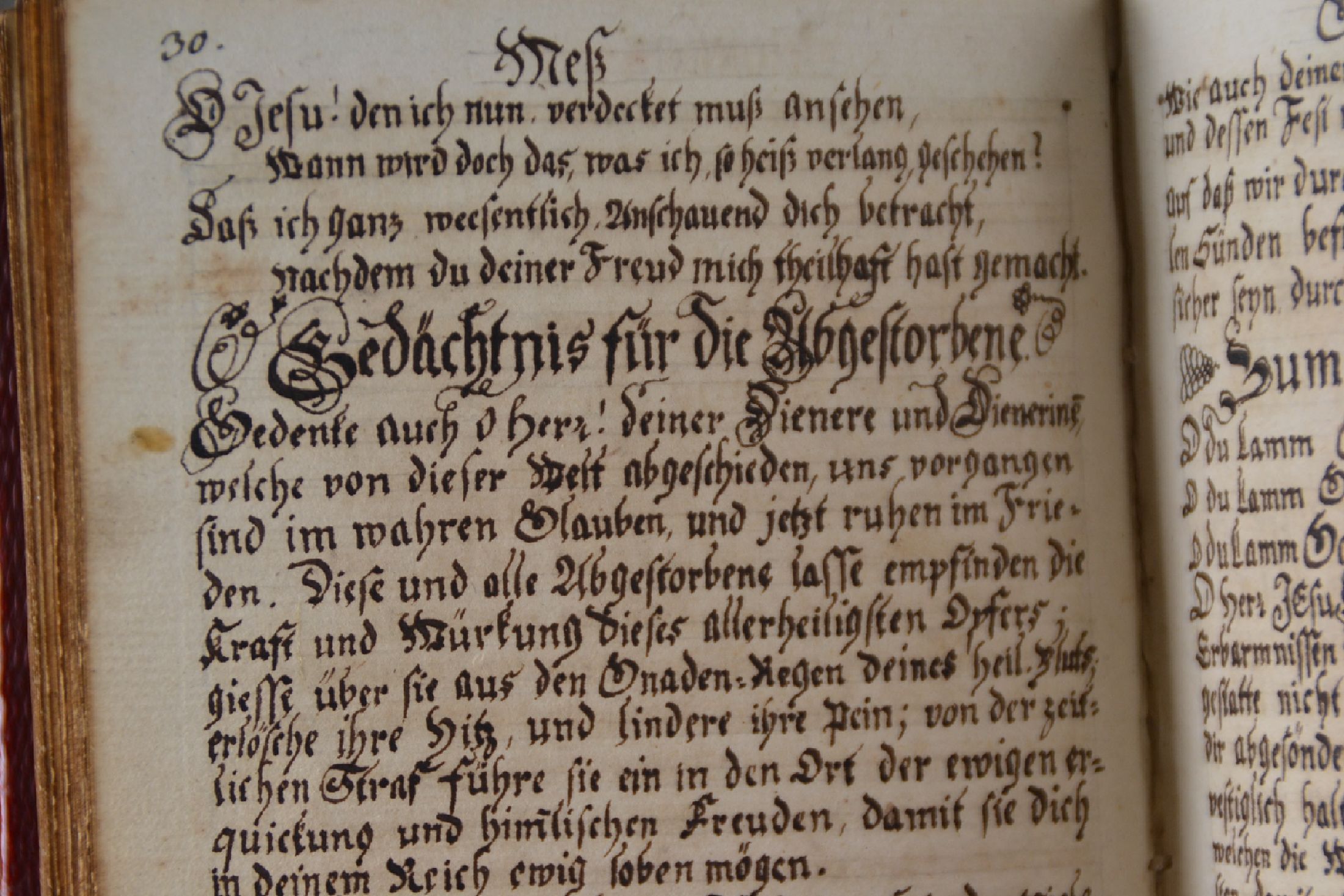 Detail e: Johann Michael Tischleder (Leutnant beim Leibdragonerregiment der Pfälzer Kurfürstin Elisabeth Auguste und später Hauptmann u. ...