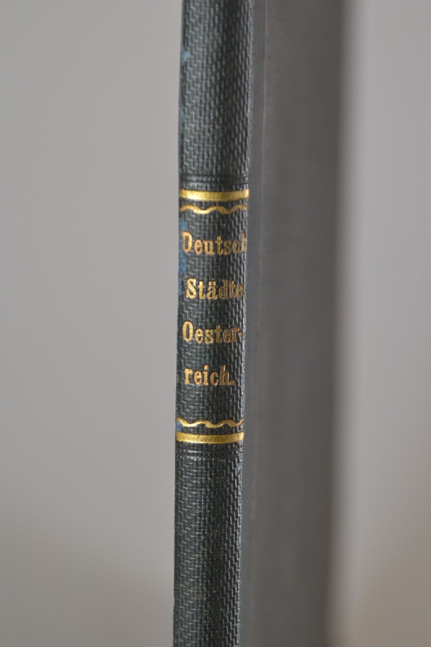 Detail c: Stahlstich-Album: Original Ansichten der historisch denkwürdigsten Städte in Deutschland und Österreich, Bd. II, Darmstadt, Gustav Georg Lange ...