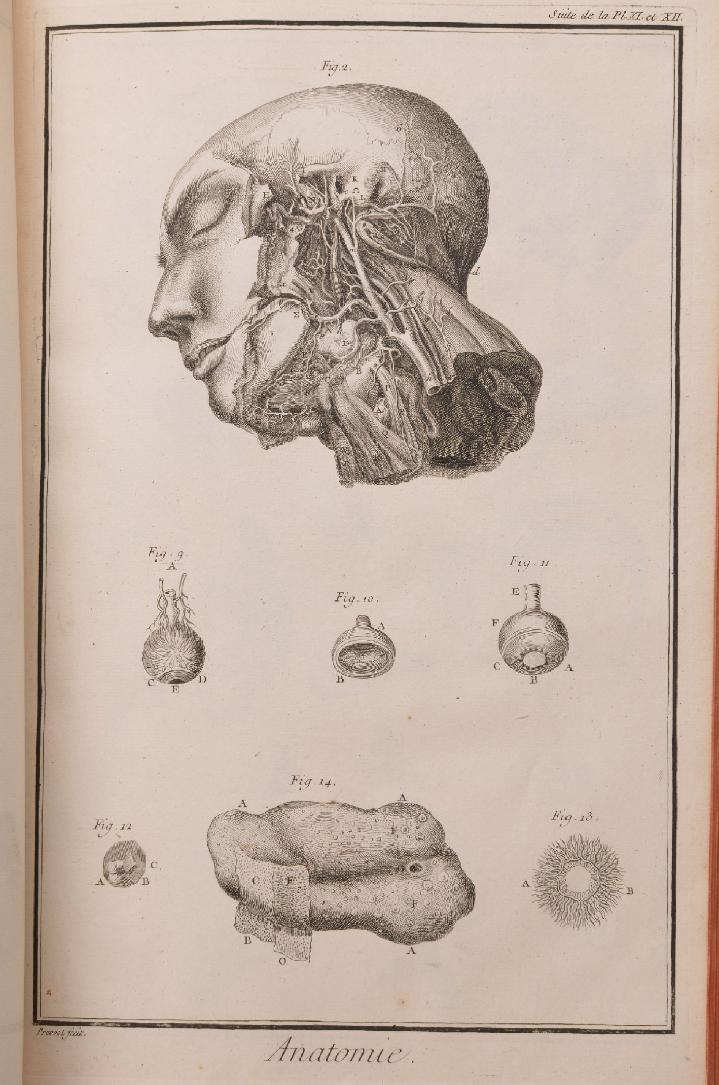 Detail i: Denis Diderot (1713-1784) und Jean Le Rond d'Alembert (1717-1783): Recueil de planches, sur les sciences, les arts liberaux, et les arts ...