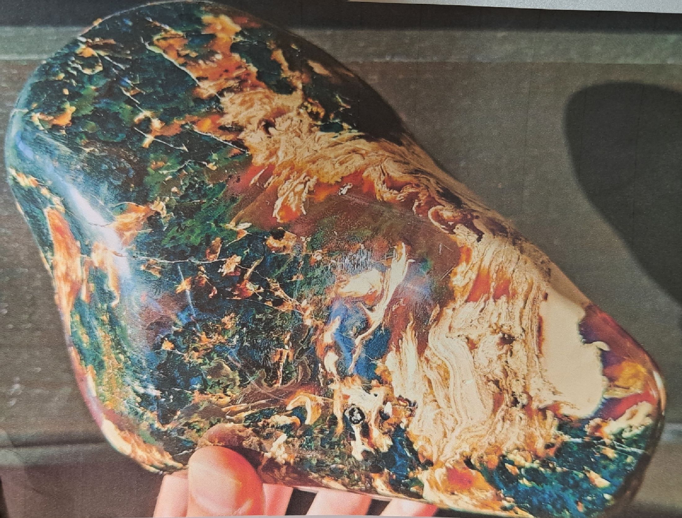 Detail b: Mächtiger und schwerster Multicolor-Riesen- Bernstein aus Jambi (West-Sumatra), Indonesien, ca. 23 Millionen Jahre alt, perfekt geschliffener ...