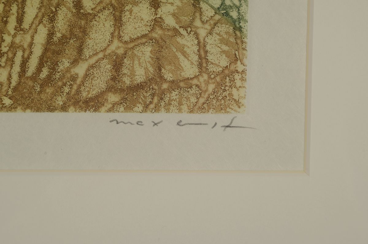 Detail a: Max Ernst, 1891-1976, Farbradierung auf weißem Papier, handsign., num. 9/45, aus dem Jahre 1967, Druck der Radierung im Atelier G.Visat, Paris, WVZ: ...