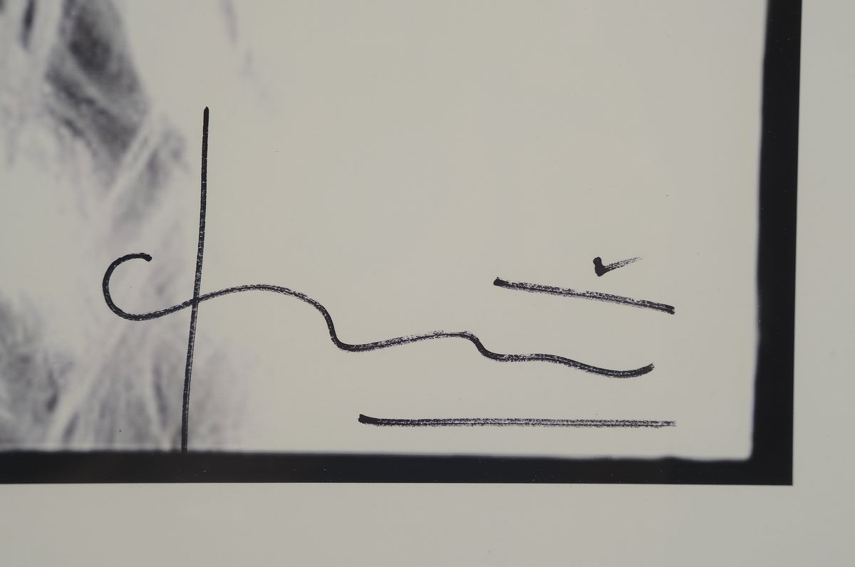 Detail a: Bert Stern, 1926-2013, "Bridget Bardot", handsign., num. 10/50, auf der Rückseite der Fotografie hat Bert Stern nochmals handsign. und ...