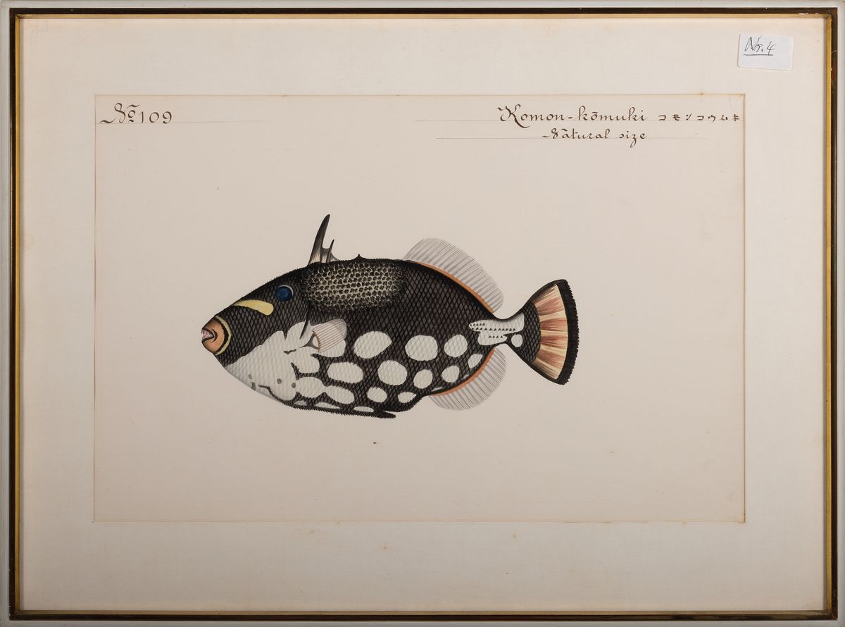 Detail k: 8 Grafiken mit Fischdarstellungen, um 1900, davon 6 Farblithos mit japanischer und englischer Beschriftung, je ca. 32x46cm, PP, u.Gl., R., ca. ...
