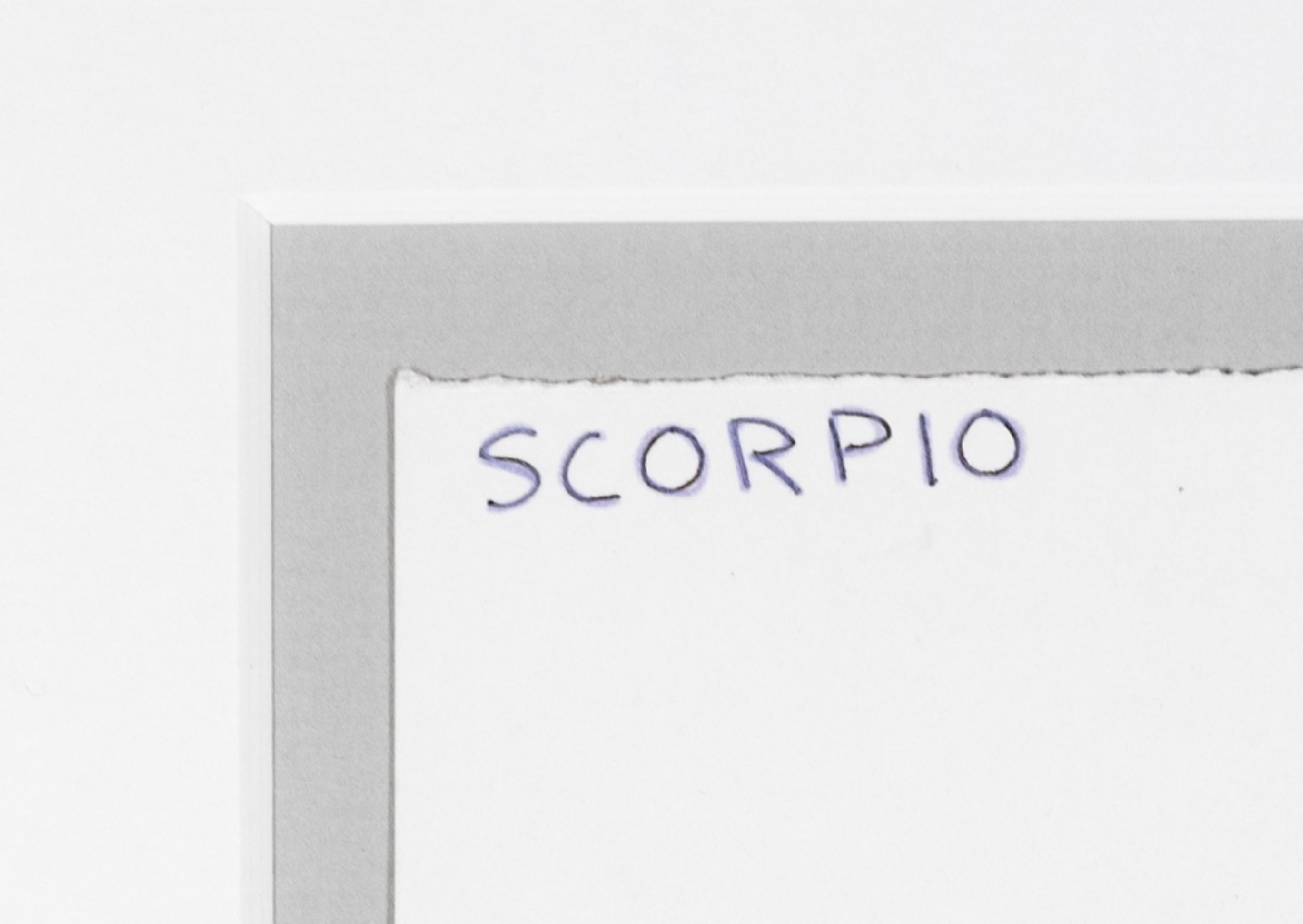 Detail a: James Rizzi, 1950-2011, handkolorierte Lithografie, "Scorpio", unter Glas, gesamt ca. 31x34 cm